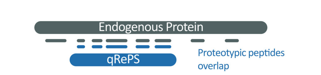 Amino acid overlap of a single qRePS with respective target protein