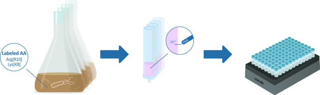 Recombinant production and purification of all individual qRePS